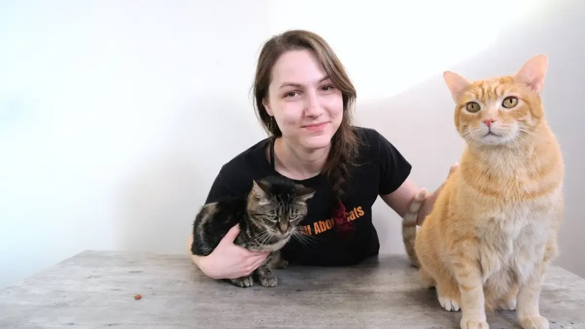 10 Hal yang Harus Kamu Ketahui Soal Kucing, Info Wajib yang Harus Kamu Tahu Sebelum Memelihara Kucing, Supaya Nggak Salah Rawat (Sumber : Tangkap Layar Youtube Cats)