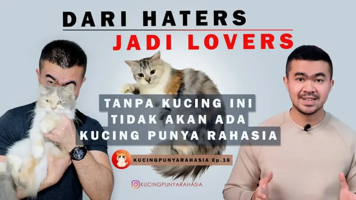 5 Tips Merawat Kucing dengan Baik, Dari Benci Jadi Cinta Kucing, Buat yang Phobia Kucing Cocok Nih! (Sumber : Tangkap Layar Youtube Kucing Punya Rahasia)