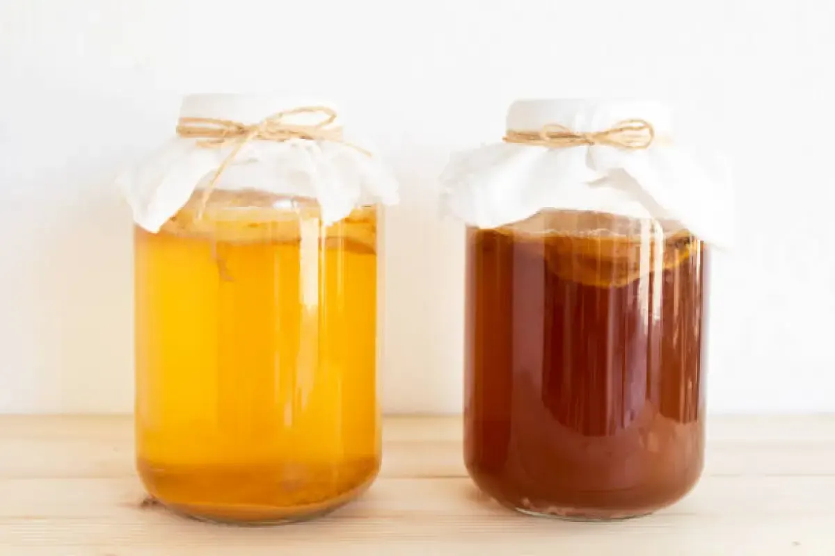 Cara membedakan kombucha asli dan yang palsu (Sumber : Istockphoto.com)