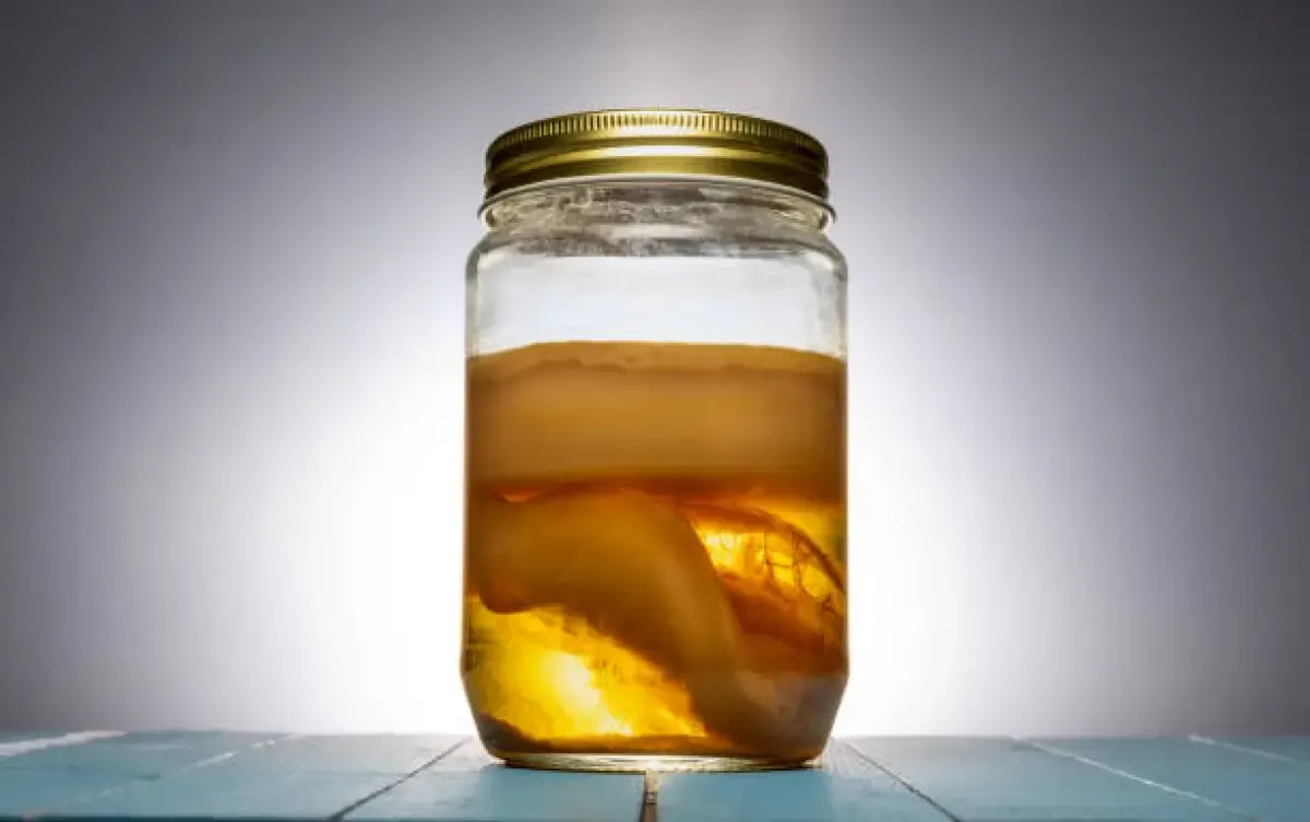 Manfaat kombucha teh fregmentasi herbal (Sumber : Istockphoto.com)