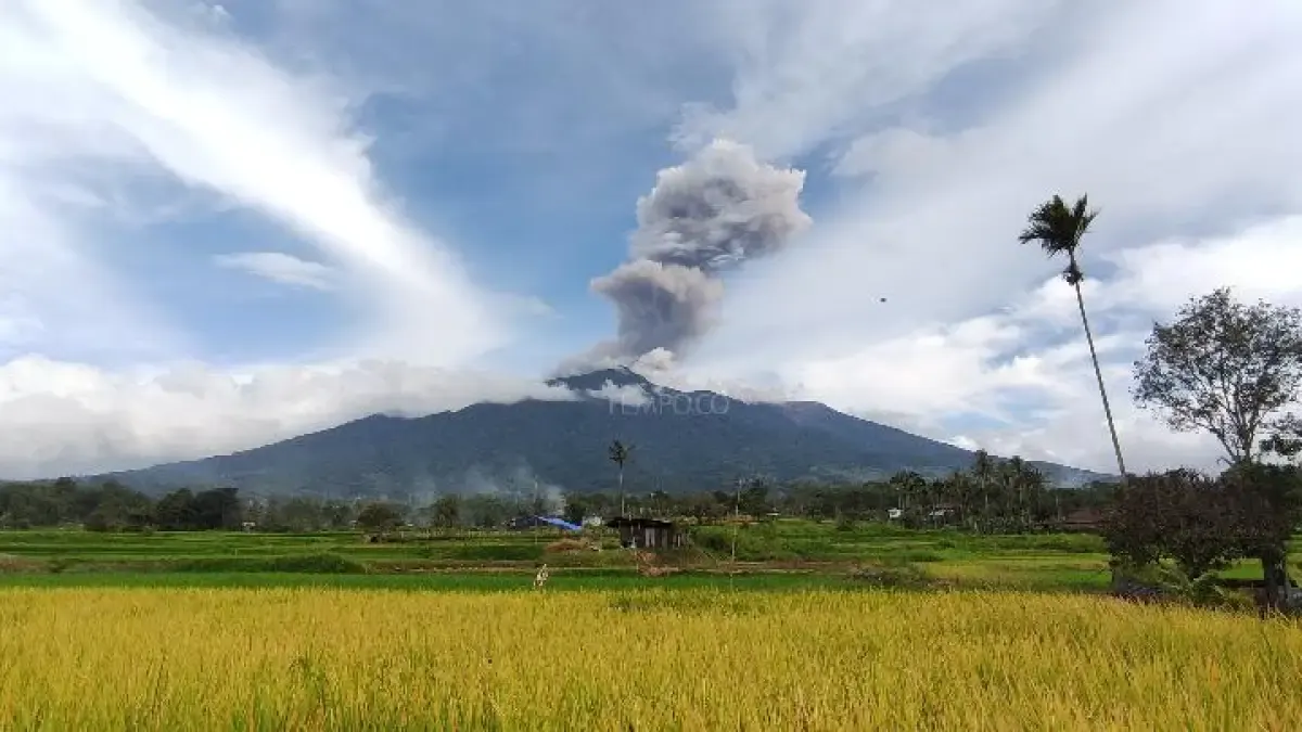 Erupsi Gunung Marapi yang terlihat dari Kecamatan Ampek Angkek, Kabupaten Agam, Sumatra Barat, pada Rabu sore, 2 April 2025. (Sumber: Tempo)