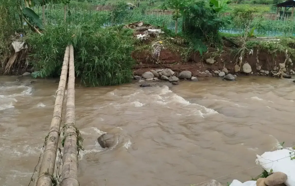 Banjir Landai Temanggung, Enam Lahan Sawah Terendam (Sumber : Dok. BNPB)