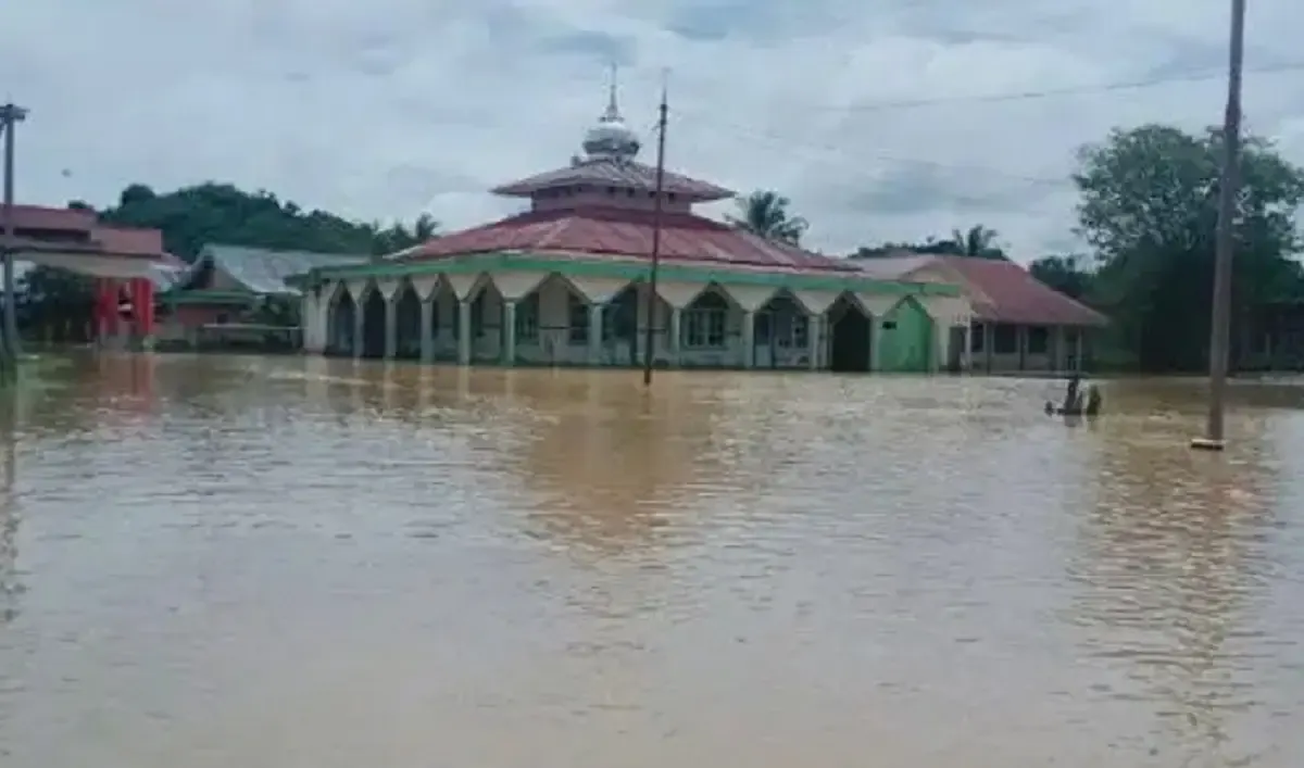 Banjir Halmahera Selatan Telan Korban Jiwa, Ribuan Warga Mengungsi (Sumber : Dok. BNPB)