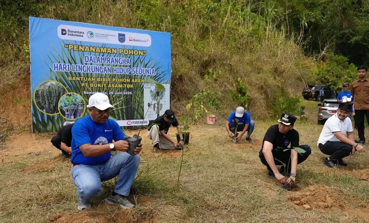 PT Bukit Asam Tanam Aren dan Bambu untuk Ubah Lahan Tambang Jadi Kawasan Konservasi (Sumber : Dok. ptba.co.id)