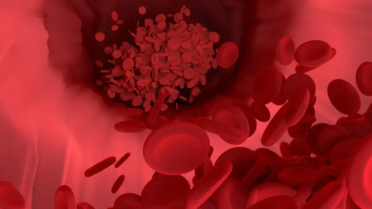 ilustrasi 10 Makanan Penambah Darah yang Ampuh untuk Meningkatkan Hemoglobin dan Mengatasi Anemia (Sumber : PIXABAY / Vector8DIY)