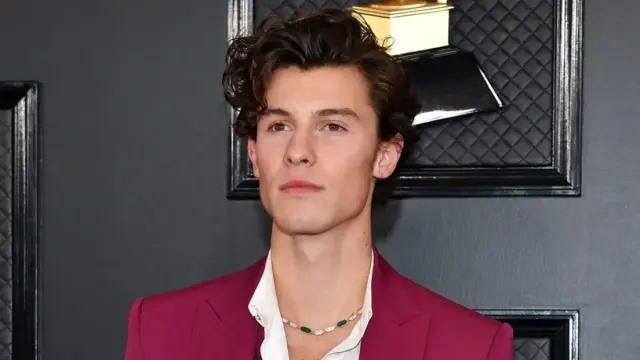 Lirik Lagu 'Imagination', Lagu Milik Shawn Mendes yang Penuh Kisah Cinta