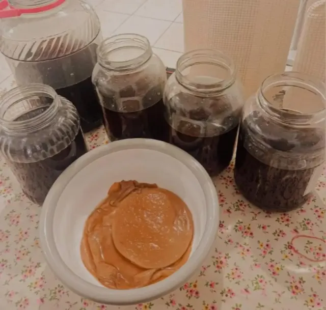 Teh Kombucha Ternyata Memiliki Efek Samping yang Bisa Membuat Infeksi Sampai Alergi