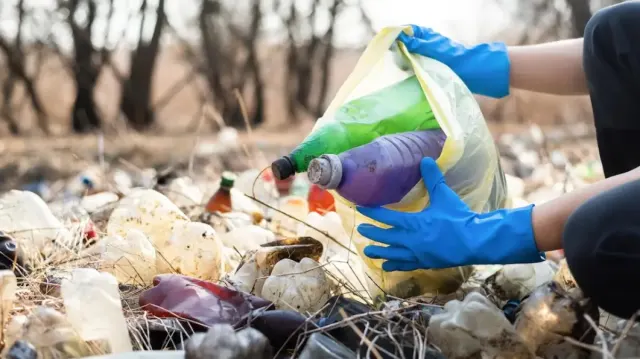 Barang Apa Saja yang Diterima Bank Sampah? Coba Cek di Sini