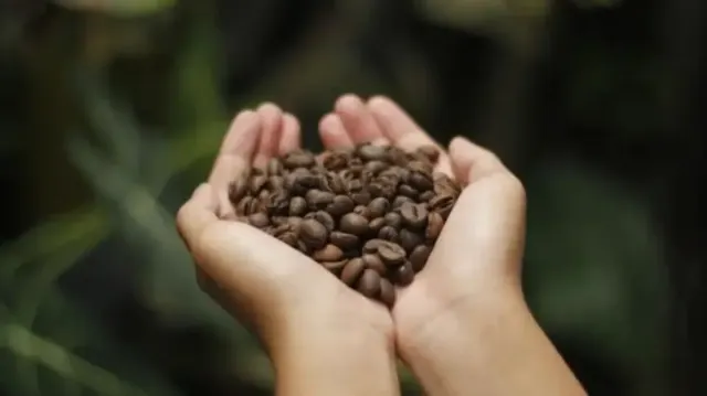 7 Manfaat Kopi bagi Kesehatan, dari Menurunkan Berat Badan hingga Mencegah Kanker