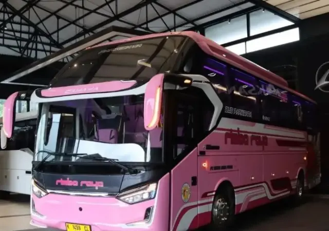 Lebih Dekat dengan Bus Rimba Raya Legacy SR3 HD Prime Ultimate yang Serba Pink
