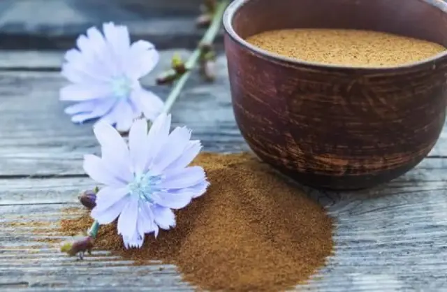 Bukan Cuma Pengganti Kopi Berkafein Tinggi, Ini Manfaat Kopi Chicory
