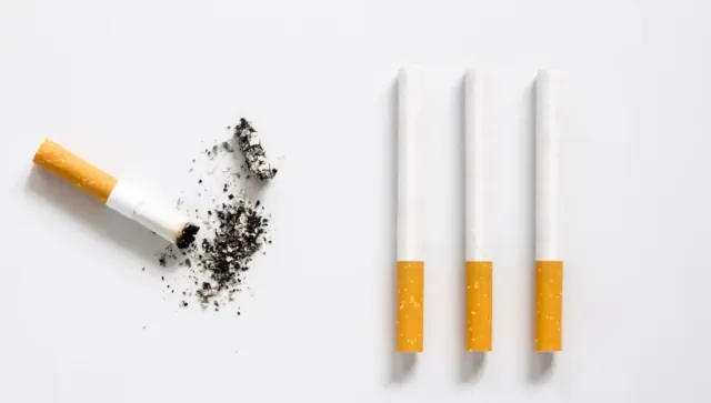 Jadi Bahan Utama Rokok Konvensional, Ketahui Apa Saja Bahaya Tembakau