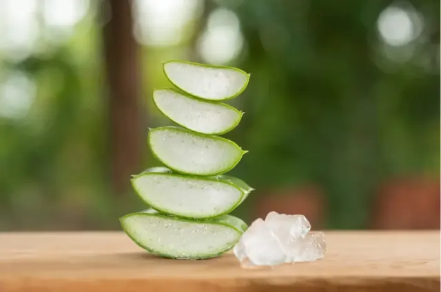 5 Manfaat Jus Lidah Buaya untuk Kesehatan Tubuh, Begini Cara Buatnya di Rumah