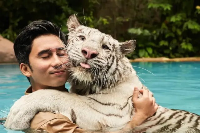Teman Nissa Asyifa Mention Alshad Ahmad untuk Tanggung Jawab