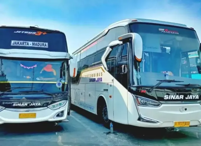 Busmania, Begini Lho Proses dan Syarat Bikin PO Bus