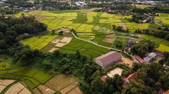 Rindu dengan Tempat Asal Kalian? Lirik Lagu Desaku Ciptaan L. Manik Ini Bisa Mewakilkan Perasaan Kalian!