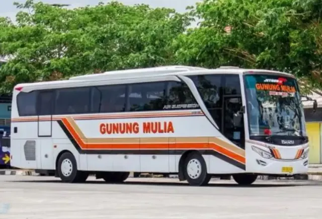 Fokus di Segmen Truk, Isuzu Belum Tertarik Jualan Sasis Big Bus