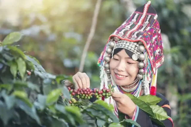 Dari Mana Asal-usul Kopi? Ketahui Penemunya dan Sejarah Masuk ke Indonesia