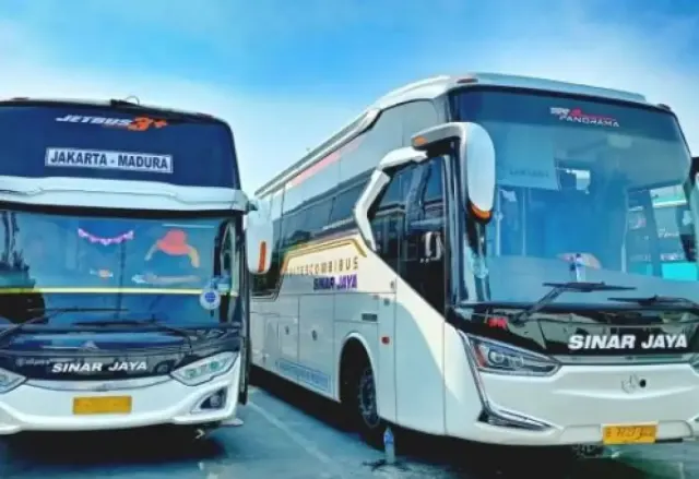 PO Sinar Jaya Disebut Bus Keong, Begini Sebenarnya