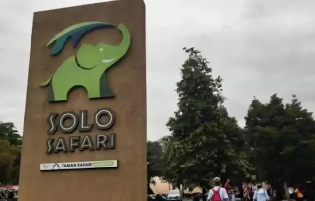 7 Fakta Menarik Solo Safari, dari Harga Tiket hingga Koleksi Satwa