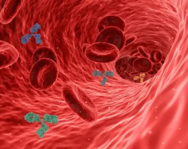 Gejala dan Cara Perawatan Anemia, Segera Pahami Supaya Bisa Jaga Diri