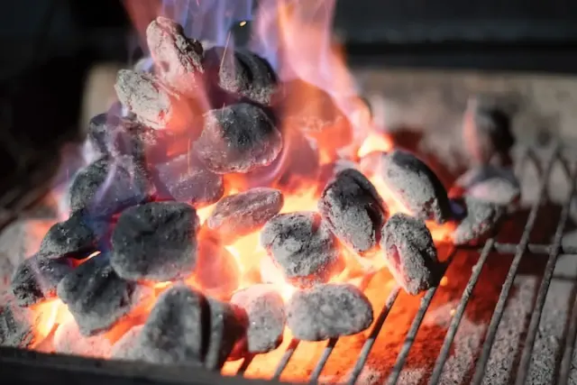 Tips Memilih Arang untuk Bakar-bakar dan Barbequean