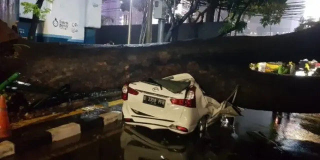 Ringsek Terkena Pohon Tumbang, Mobil Bisa Klaim Asuransi, Asal ?
