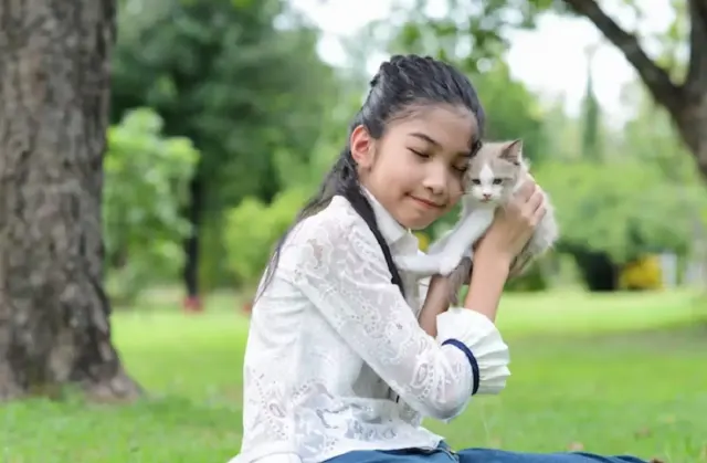 8 Manfaat Memelihara Kucing, Salah Satunya Buat Belajar Tanggung Jawab