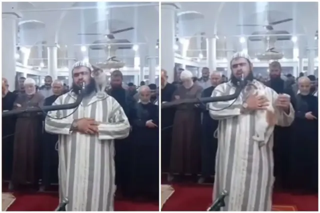 Momen Kucing Lompat dan Ganggu Imam Shalat Tarawih, Respons yang Dilakukan Tuai Pujian