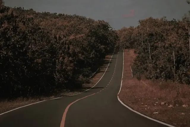 Kekurangan Jalur Pantai Selatan, Pemudik Wajib Baca!