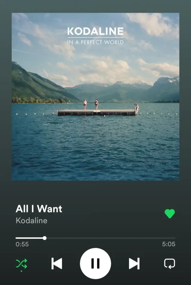 Chord Dan Lirik Lagu All I Want punya Kodaline yang Enak Banget buat Dimainin