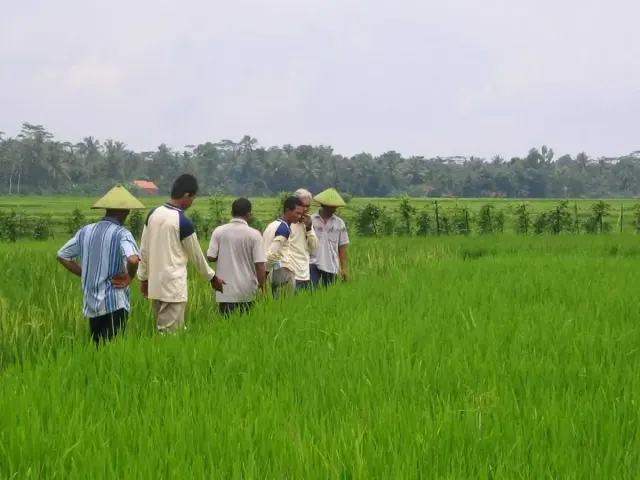Soal Subsidi dari Pemerintah, Legislator Tegaskan Utamakan Untuk Petani Bukan Mobil Listrik