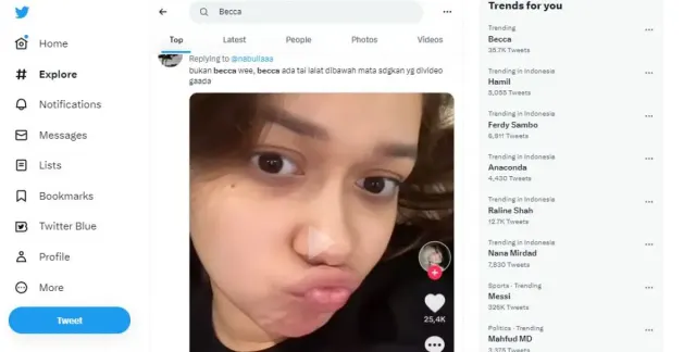 Becca, Hamil, Anaconda Trending Topik Twitter Regional Indonesia