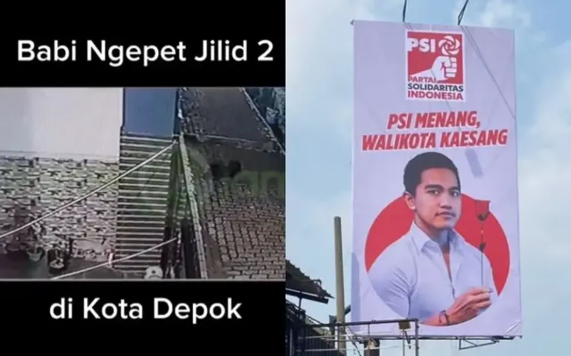Depok Trending Topik Twitter, Netizen Bahas Babi Ngepet Jilid II hingga Gibran Walikota
