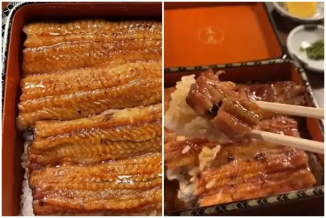 Unagi, Kuliner Lezat di Jepang Ternyata Diekspor dari Cilacap