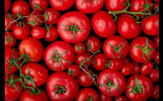 5 Manfaat Mengonsumsi Tomat Untuk Kesehatan Tubuh yang Kamu Belum Ketahui