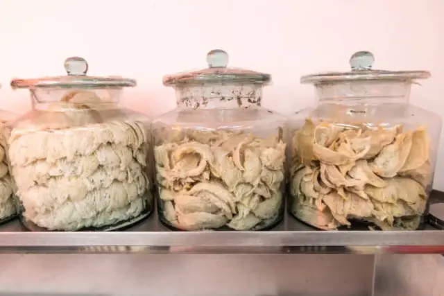 Cara Mengolah dan Memasak Sarang Burung Walet, Jangan Ngasal!
