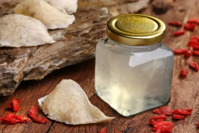 Manfaat Sarang Burung Walet, Dari Kesehatan Sampai Kecantikan