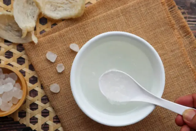 Resep Membuat Sarang Walet Gula Batu