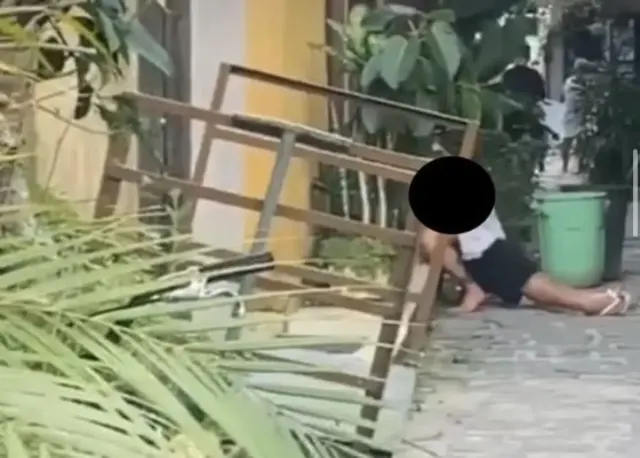 Viral Bule Bersetubuh di Pinggir Jalan, Benarkah Tanda Kiamat?