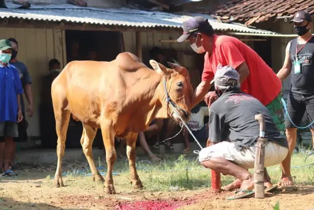 7 Amalan Sunnah saat Hari Raya Idul Adha yang Bikin Kamu Panen Pahala