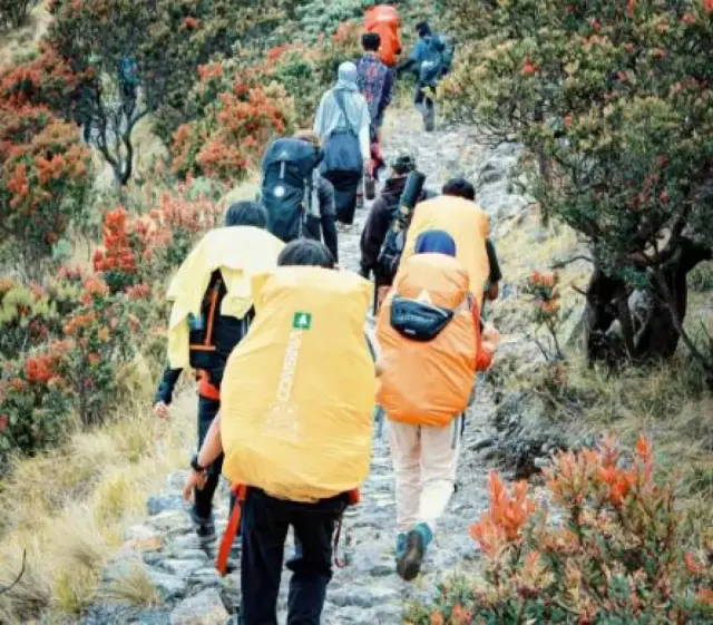 5 Fakta Penting Mahasiswi Undip Meninggal saat Mendaki Gunung Lawu