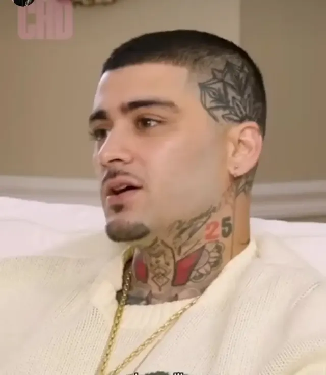 Biodata, Perjalanan Karier dan Fakta Zayn Malik