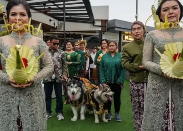 Viral Pernikahan Mewah Anjing Luna & Jojo dengan Adat Jawa, Himpunan Ahli Rias Mengutuk Keras
