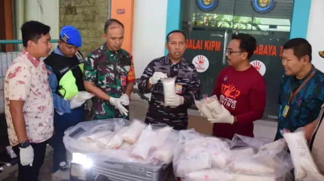 TNI AL Lanudal Juanda Sukses Gagalkan Penyelundupan Benih Bening Lobster Miliaran Rupiah ke Singapura