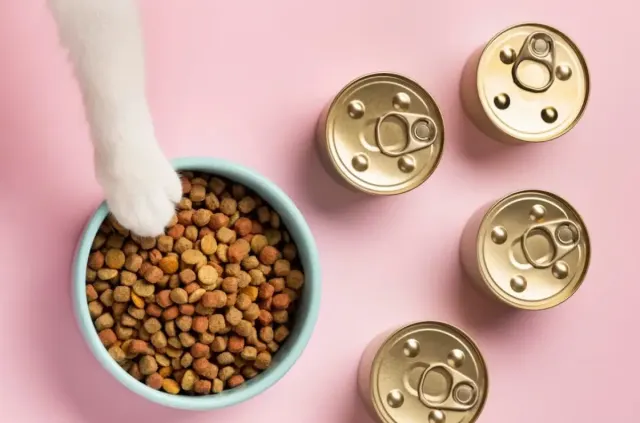 10 Resep Praktis Makanan Kucing yang Bisa dibuat di Rumah, Biar Kucing Tambah Gemuk dan Sehat