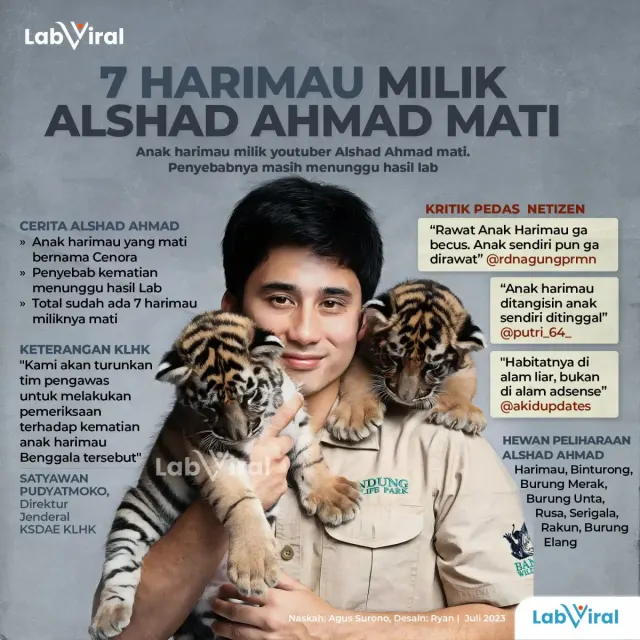 Anak Harimau Milik Alshad Ahmad Mati, KLHK dan BBKSDA Turun Tangan