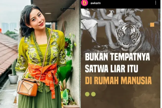 Awkarin Sentil Alshad Ahmad Soal Anak Harimau yang Mati, Dituding Lagi Pansos
