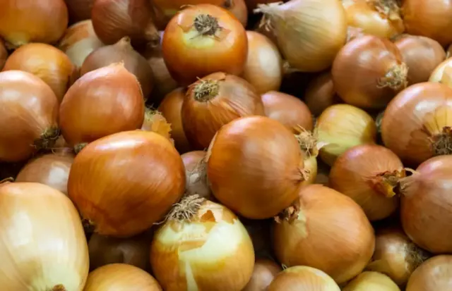 12 Manfaat Bawang Bombay untuk Kesehatan, Dari Mengatasi Sembelit Hingga Mempercantik Kulit