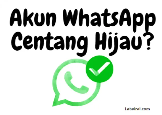 Apa Sih Fungsi Akun Centang Hijau WhatsApp?